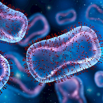 Mitä mpox-epidemia opetti?