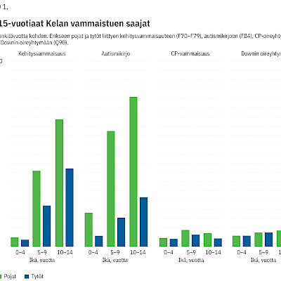 Kehitysvammaisuutta esiintyy enemmän pojilla kuin tytöillä