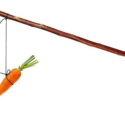 Lääkäri mainittu aluevaaliohjelmassa