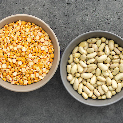 Palkokasvit kunniaan – terveys ja ympäristö kiittävät