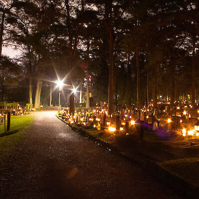 Kuolleisuus laski viime vuonna