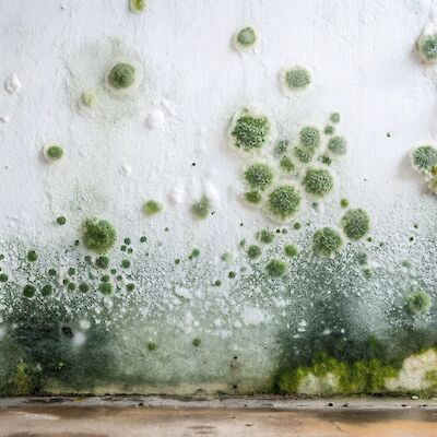 Ammattiastman diagnostiikasta tulee kosteusvaurioissa luopua