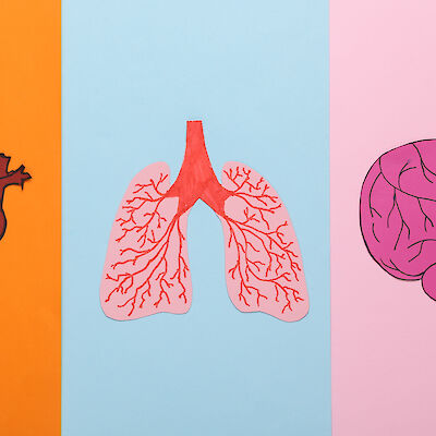 Mihin Suomessa kuollaan? – Syyt muuttuneet 20 vuodessa