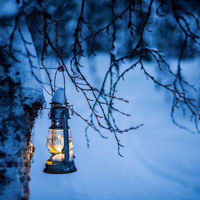 Uusia uutisia taas 5. tammikuuta