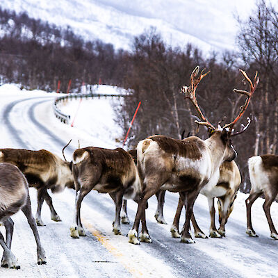 Lapin aluehallitus ei sulkisi Muonion vuodeosastoa