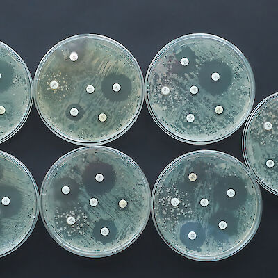 Kuinka rokotukset ehkäisevät mikrobilääkeresistenssiä?