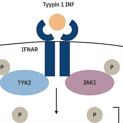 Interferonopatioiden varhainen diagnosointi on tärkeää
