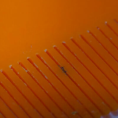 ”Avustuksia siivotaan tiheällä täikammalla”