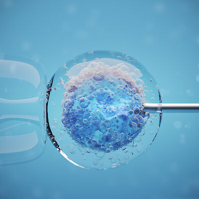 Palko pyytää kommentteja hedelmöityshoidoista