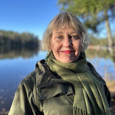 Nolla euroa Stea-rahaa paperittomien terveyteen?