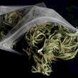 Lancetin tiedot kannabishaitoista eivät yllätä suomalaisia asiantuntijoita