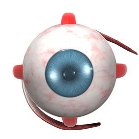 Tekomykiö vai laser taittovirheeseen?