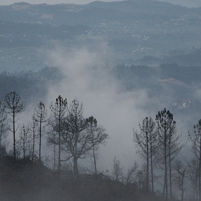Venäjän metsäpalot eivät ole lisänneet radioaktiivisuutta Suomessa