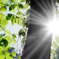 Auringonvalo voi vaikuttaa lääkkeen hajoamiseen elimistössä