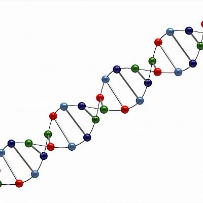Telomeerien lyhyys yhteydessä sydänkohtausriskiin
