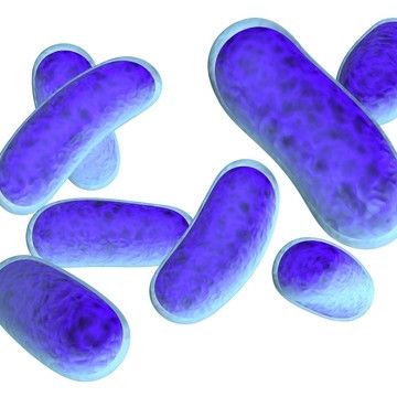 Kesällä useita tartuntatautiepidemioita
