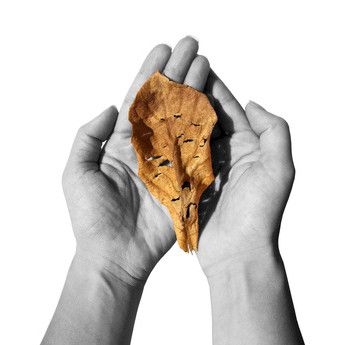 Palliatiivisen hoidon suunnitelmat arvioitava Euroopassa