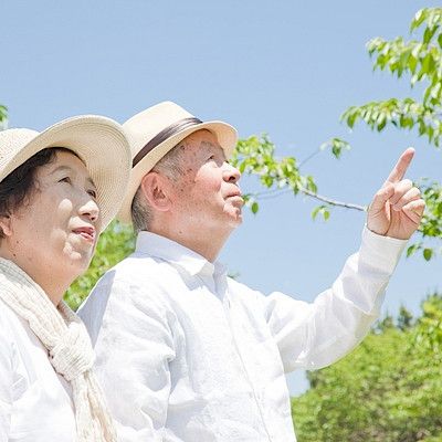 Japani vastaa väestön ikääntymiseen verouudistuksella