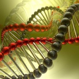 Telomeerien lyhyys yhteydessä myös flunssaan