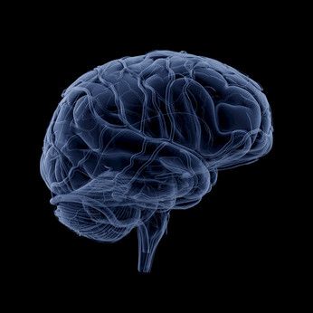 Glukoositasapainon häiriöt eivät ehkä yhteydessä Alzheimerin tautiin