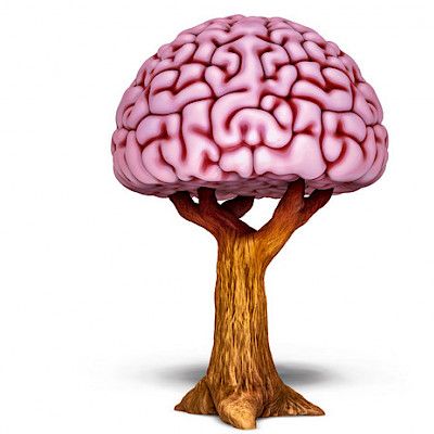 Keski-ikäisen arvio fyysisestä kunnostaan valottaa dementiariskiä