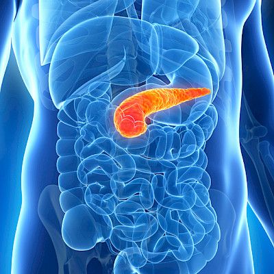 Uusien diabeteslääkkeiden haimahaitoista ei huolta toistaiseksi