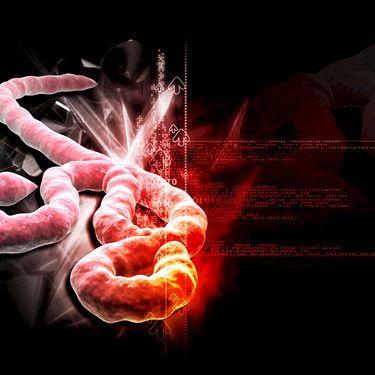 Ebola-epidemia ei taltu nopeasti