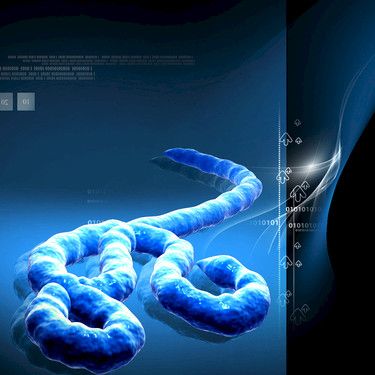 Kokeellista Ebola-rokotetta Länsi-Afrikkaan