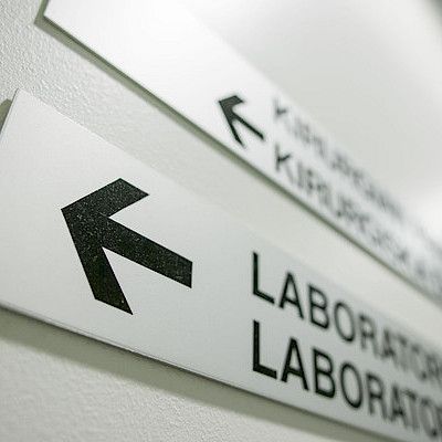 THL: Sote-lain toimeenpano ei tuo automaattisesti säästöjä