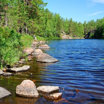 Hyvää kesää! Lääkärilehden uutisia jälleen 30.7.