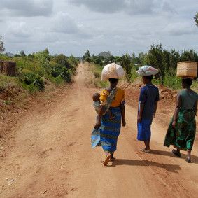 Afrikkalainen unitauti väheni Ugandassa